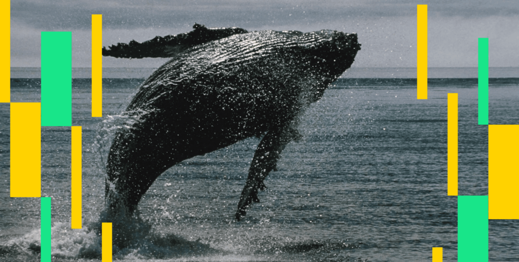 WallStreetQueenOfficial Breakdown