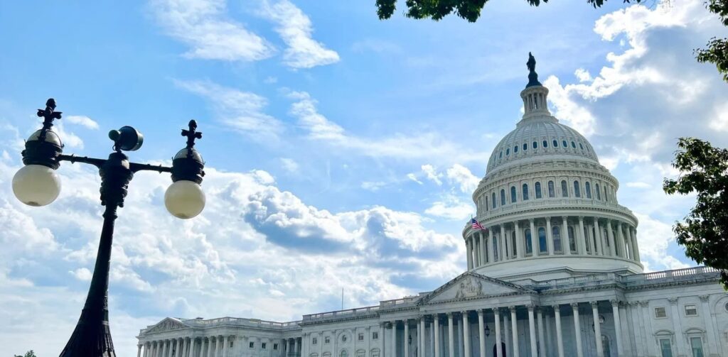  WallStreetQueenOfficial Policy Update